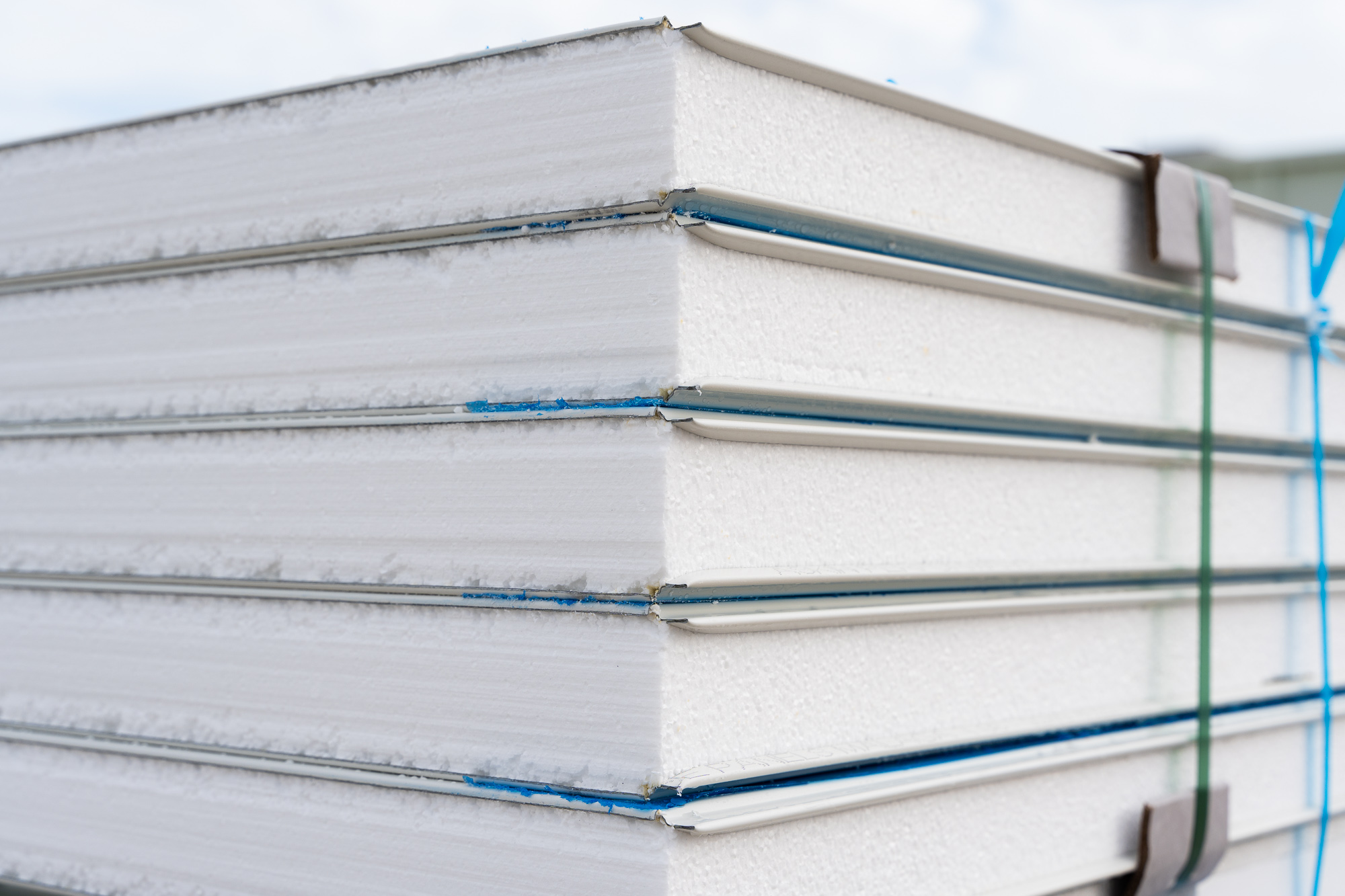 The Advantages and Disadvantages of Insulated Panels